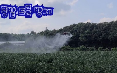 콩밭 드론방제 제주 가시리
