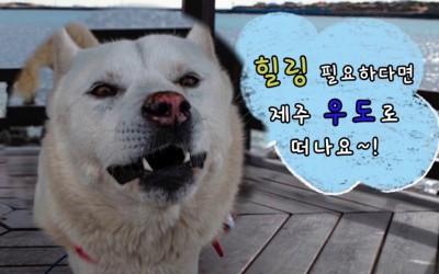 영상편집 1기~2기 영상모음
