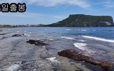 영상편집 5기